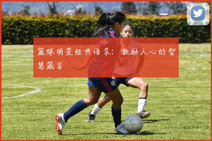 篮球明星经典语录:激励人心的智慧箴言